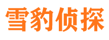 灵川捉小三公司